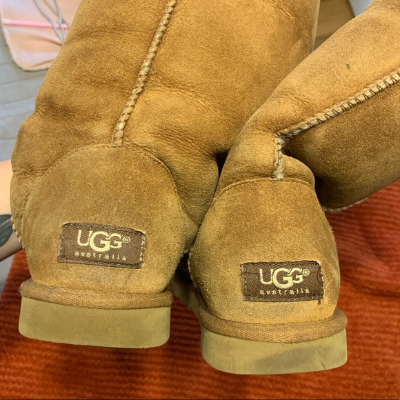 Classic Tall Chestnut UGG Boots - Picture 4 of 7